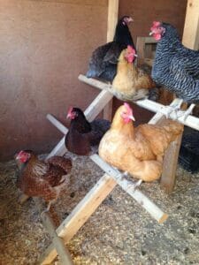 cotet gaini amenajare