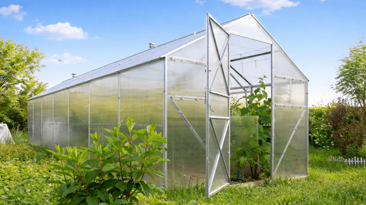 sera din policarbonat